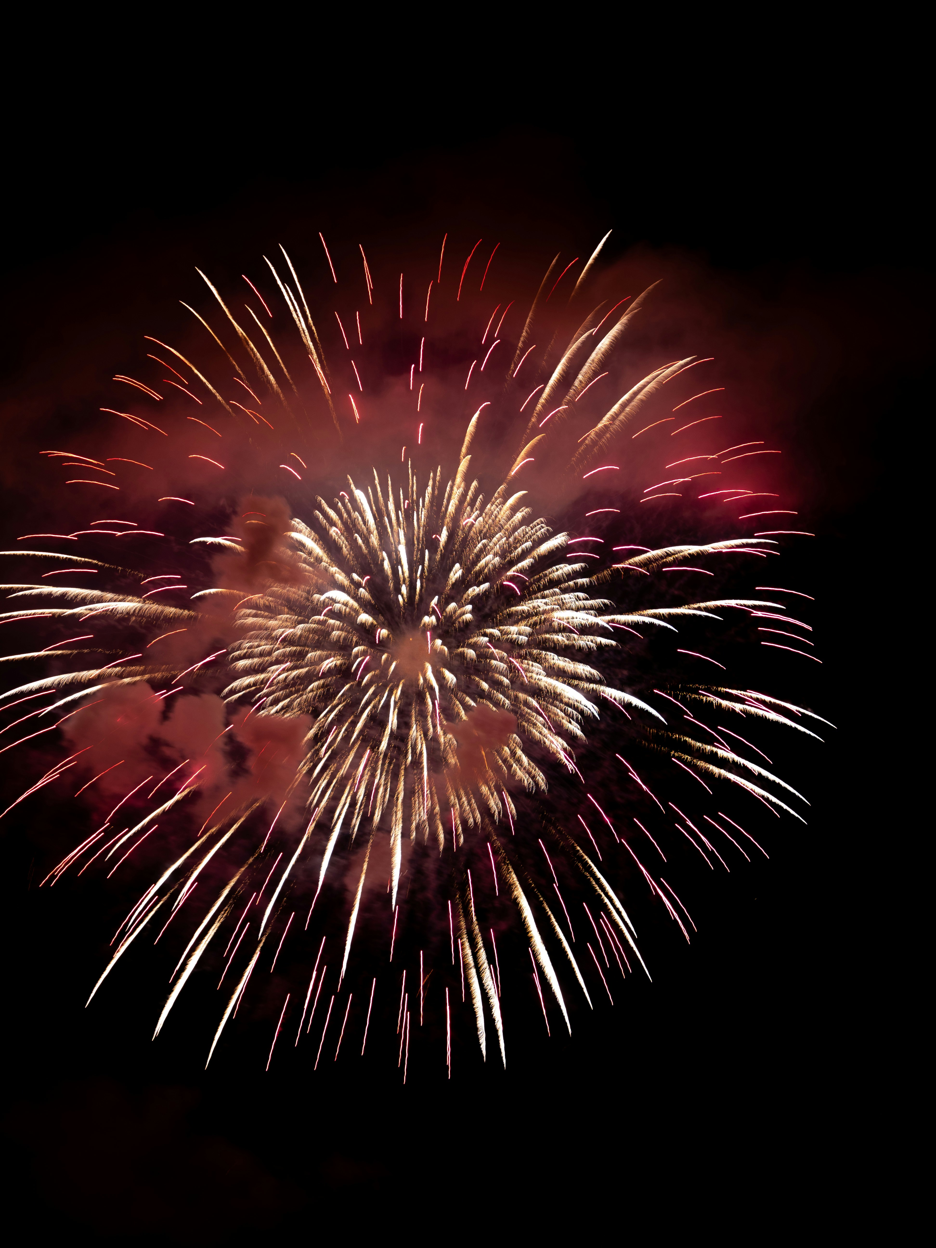 Photo by shellingfordyu