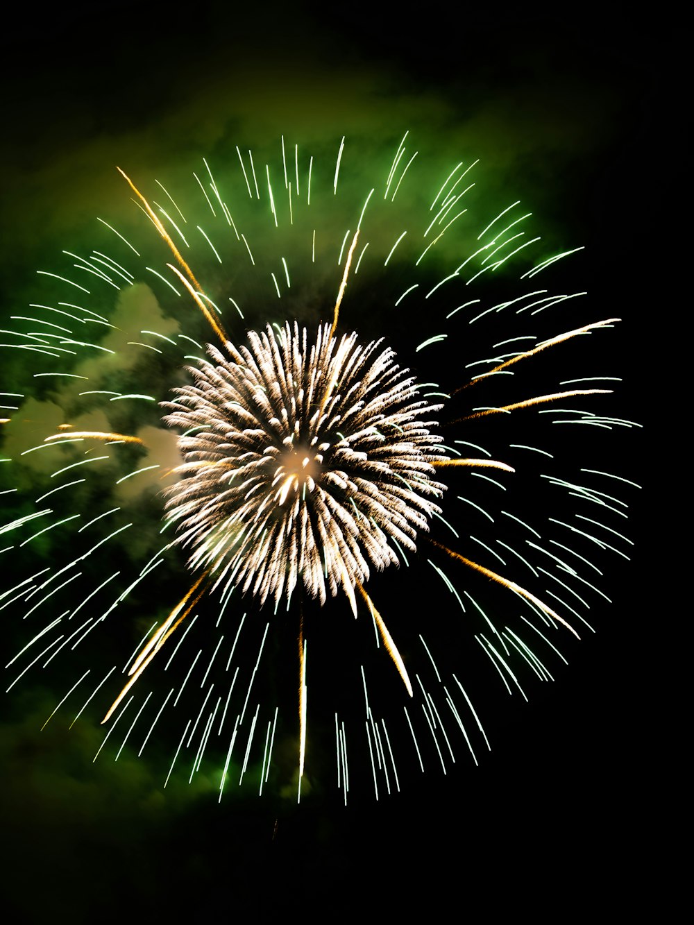 a large fireworks is lit up in the night sky