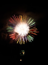 Bright and colorful fireworks burst in the night sky, displaying a radial pattern with streaks of red, green, yellow, and blue. The scene captures a sense of celebration and festivity against a dark background.
