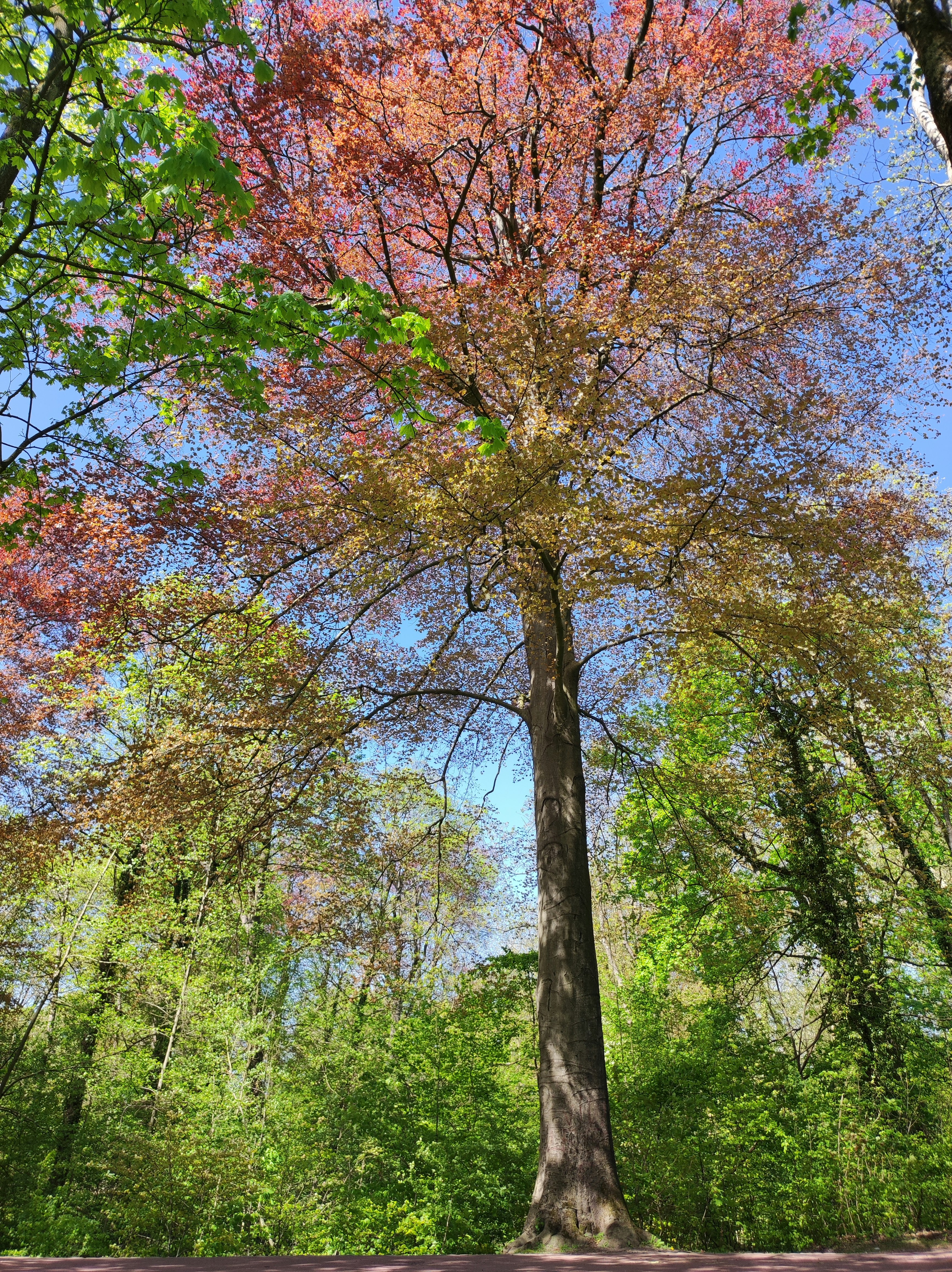 Photo by nicolas_barbault