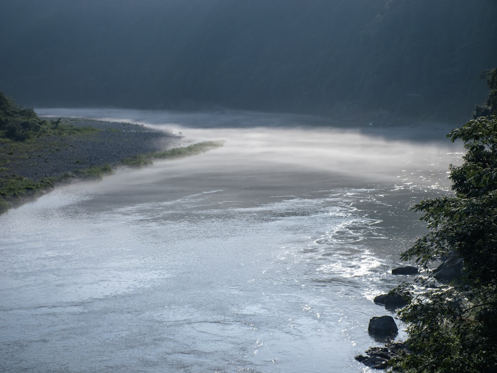 a body of water surrounded by trees and fog