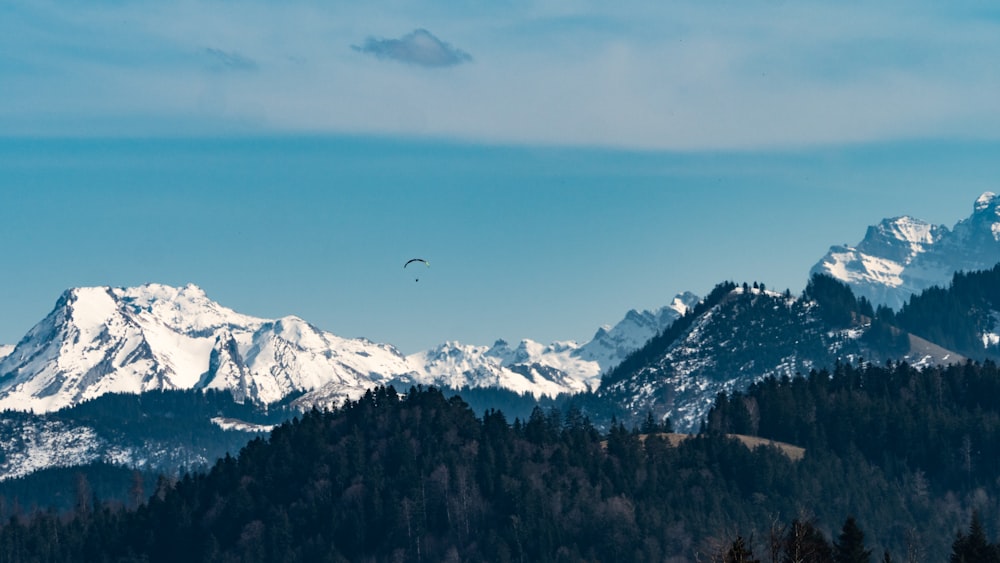 a view of a mountain range with a bird flying over it