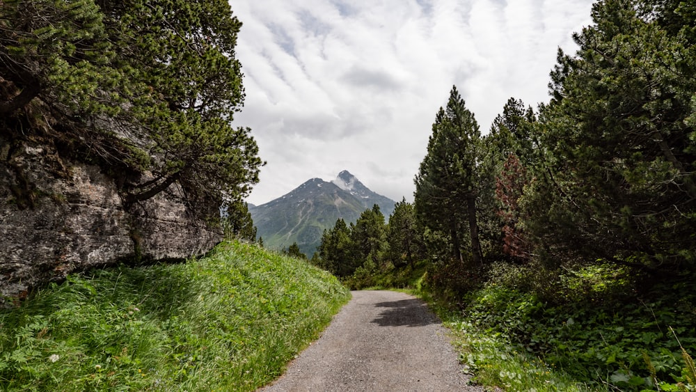 Una strada sterrata con una montagna sullo sfondo