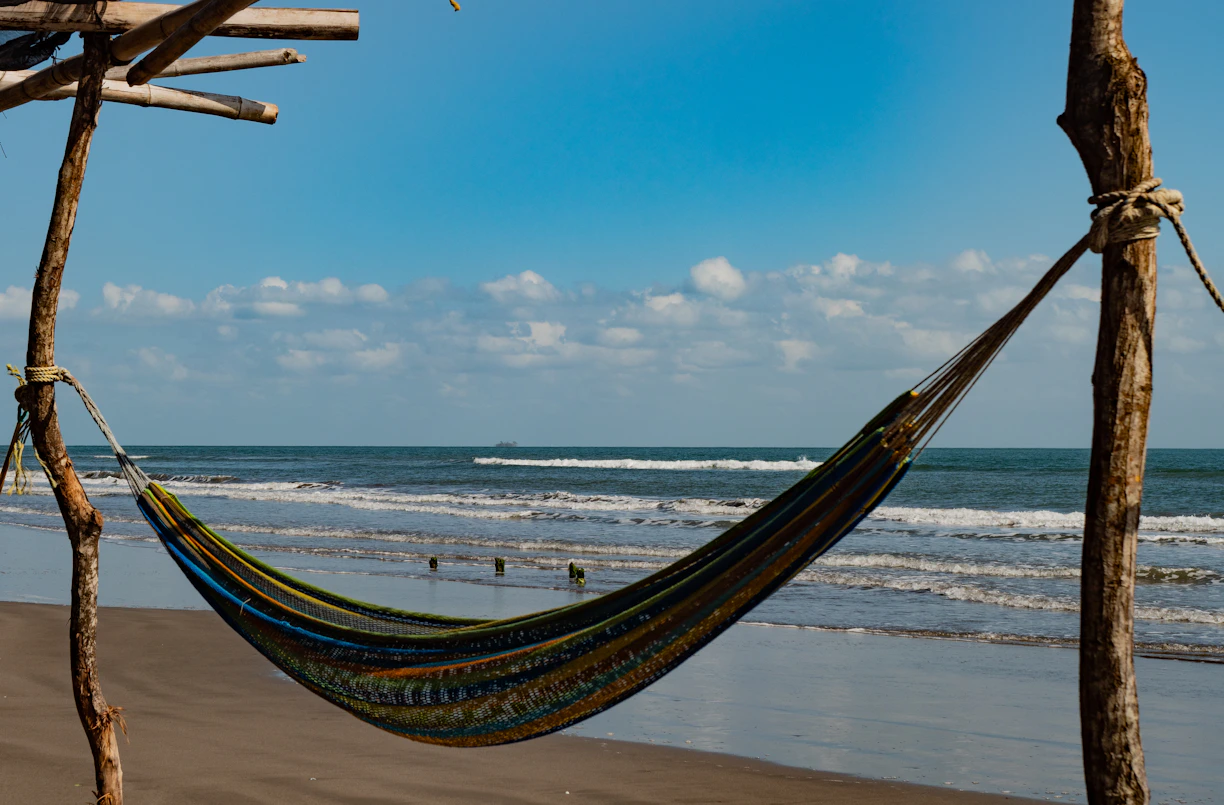 a hammock hanging from a tree on the beach