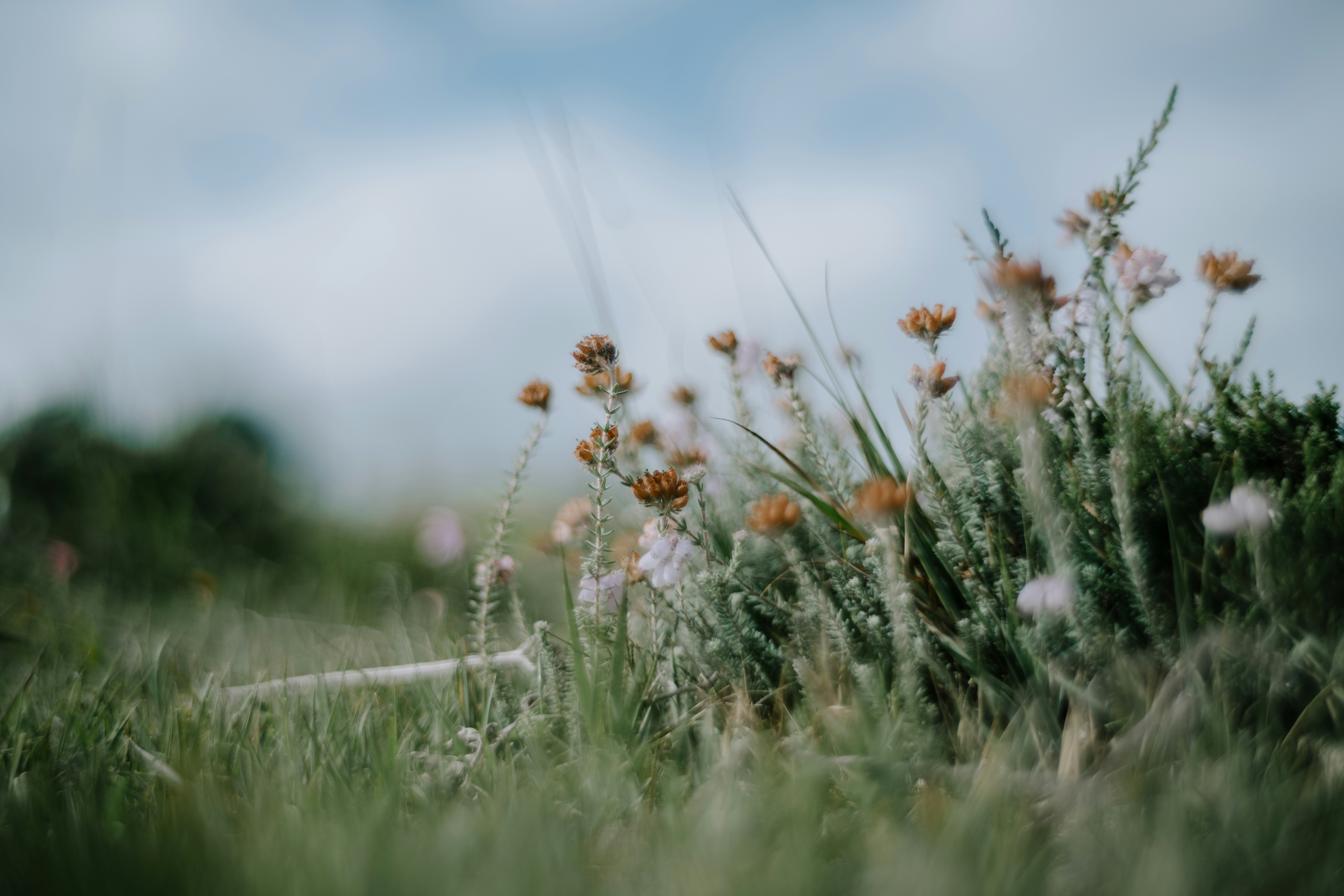 Photo by anniespratt