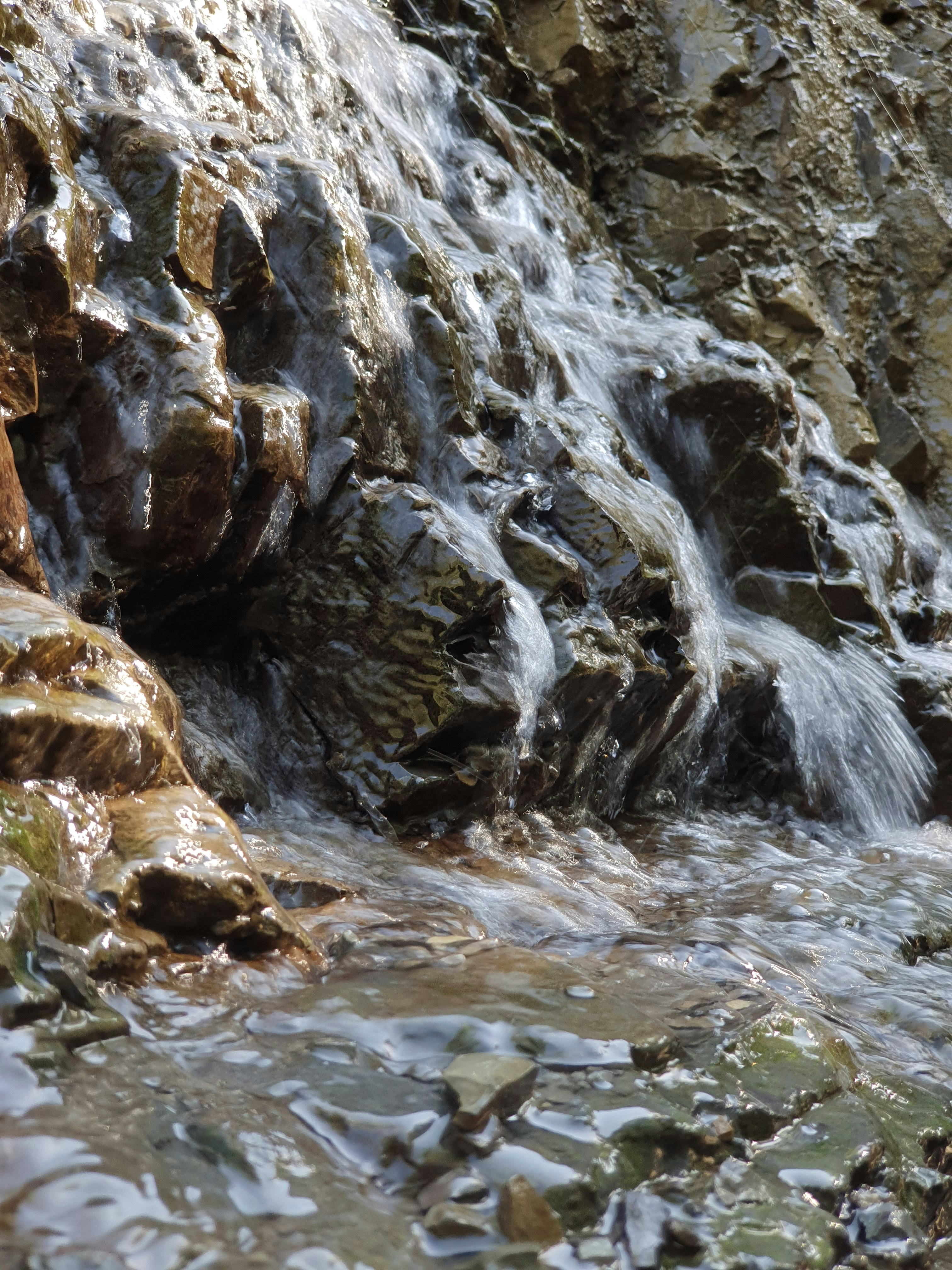 a bird standing on a rock next to a stream of water