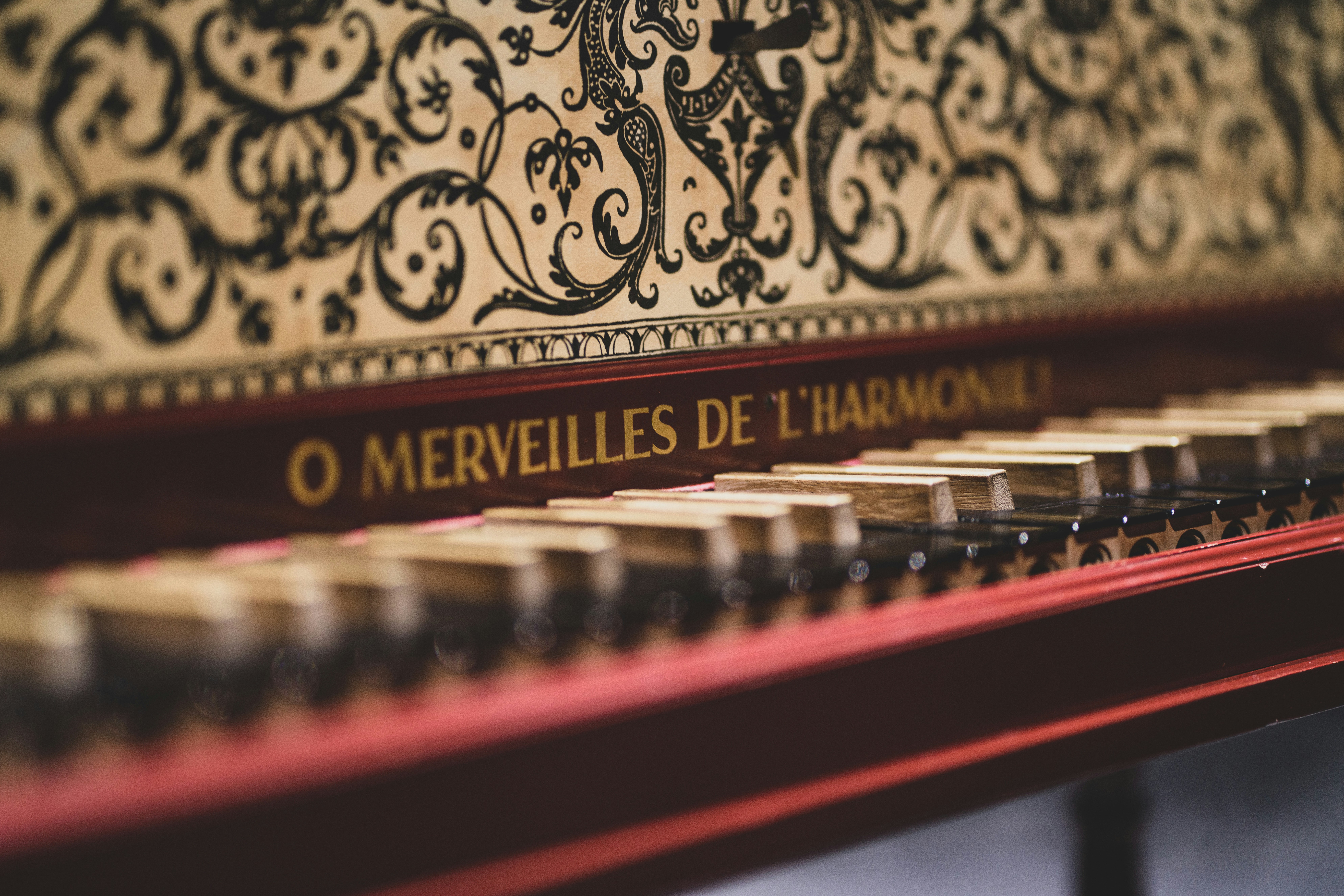 a close up of the keys of a piano
