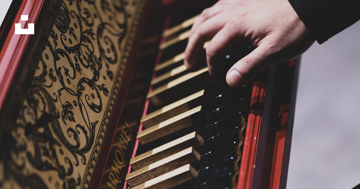 A close up of a person playing a musical instrument photo – Free Piano ...