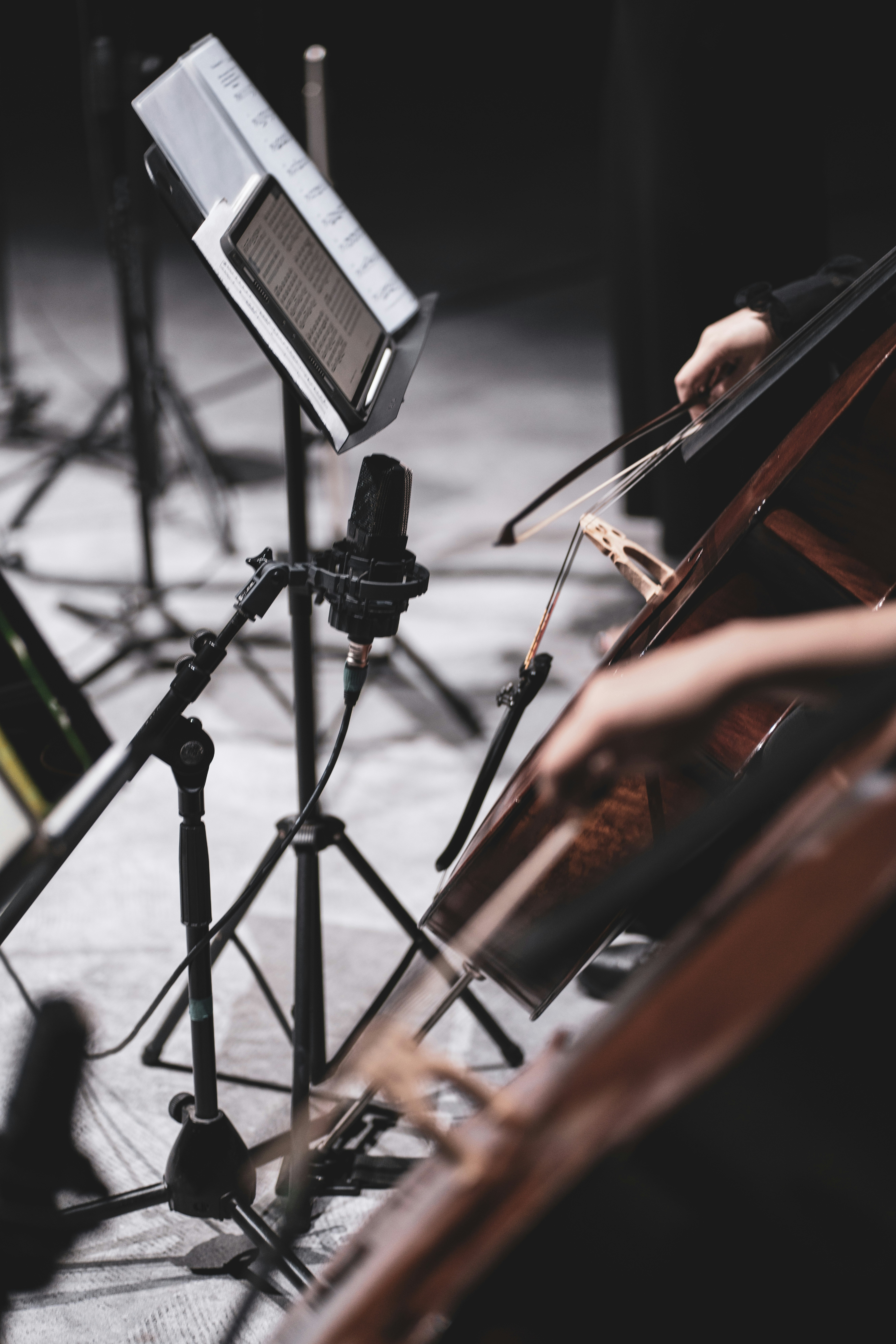 Photo by xingchenyan