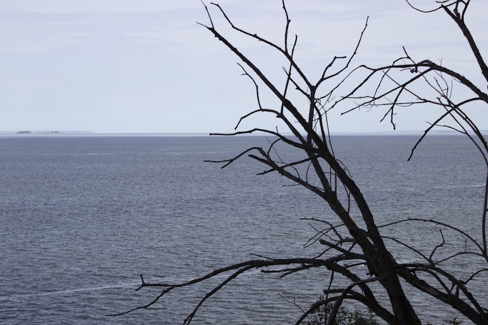 a body of water with a boat in the distance