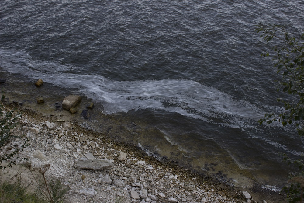 a body of water next to a rocky shore