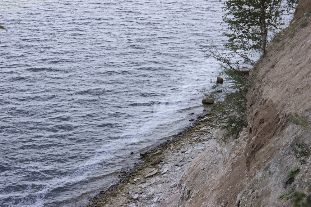 a couple of birds sitting on the edge of a cliff
