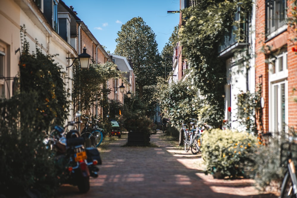 a street lined with parked bikes next to tall buildings