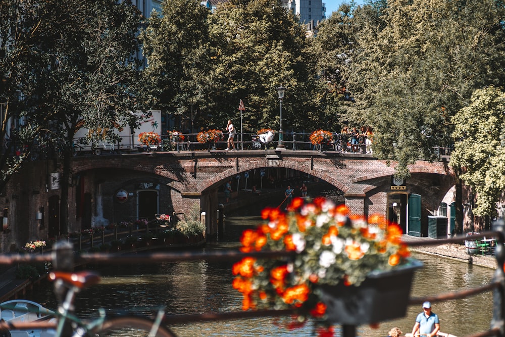 a bridge over a body of water surrounded by trees