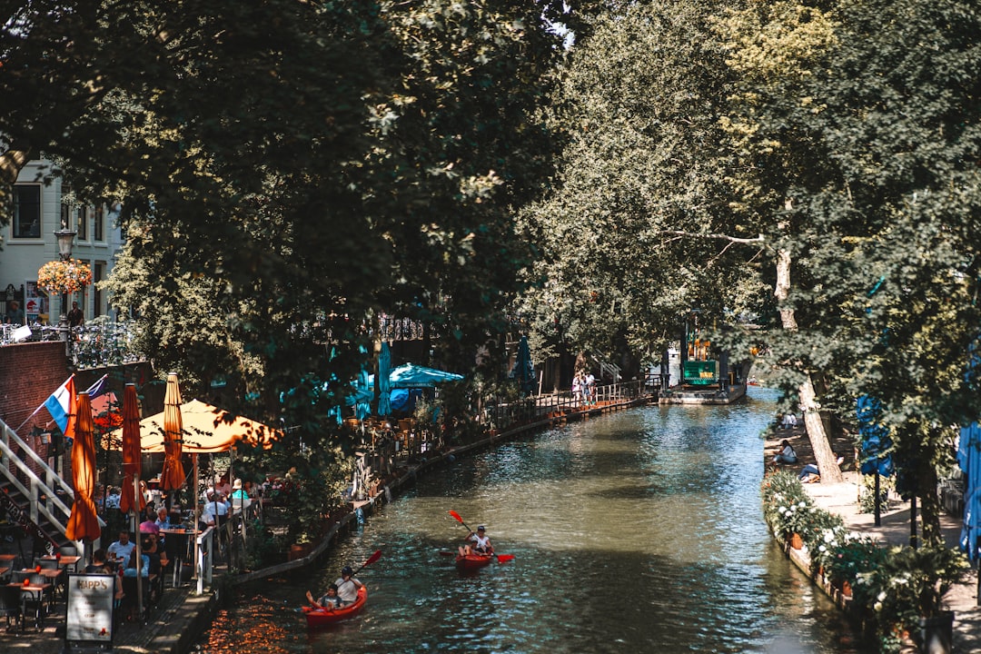 a river running through a city with lots of trees,