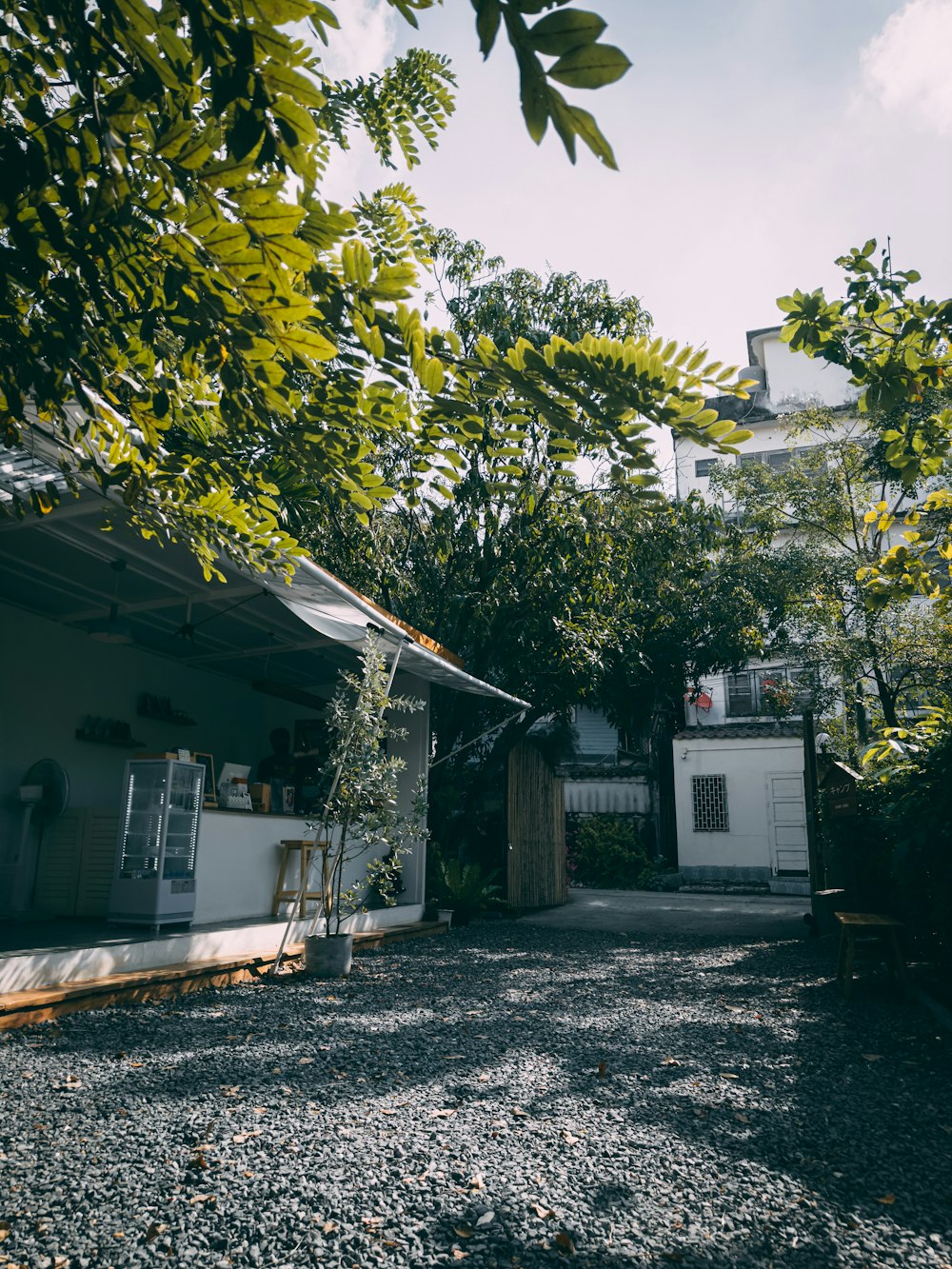 a house with a lot of trees in front of it