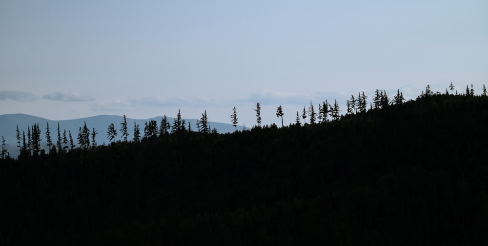 the silhouette of trees on a hill with mountains in the background