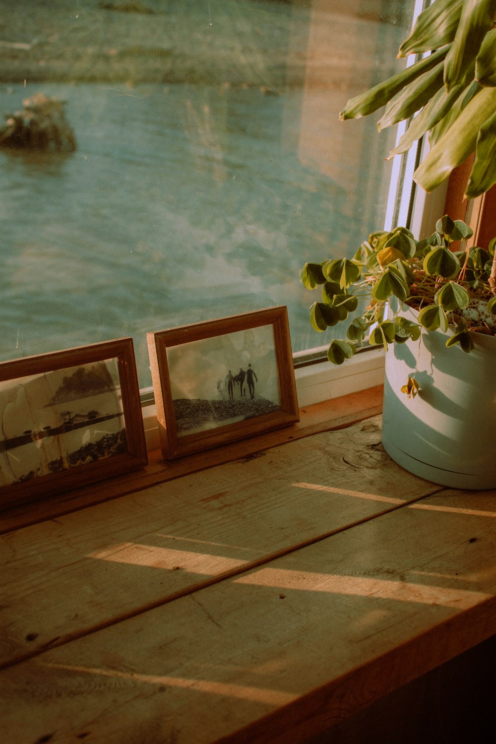 a window sill with a potted plant and two pictures on it