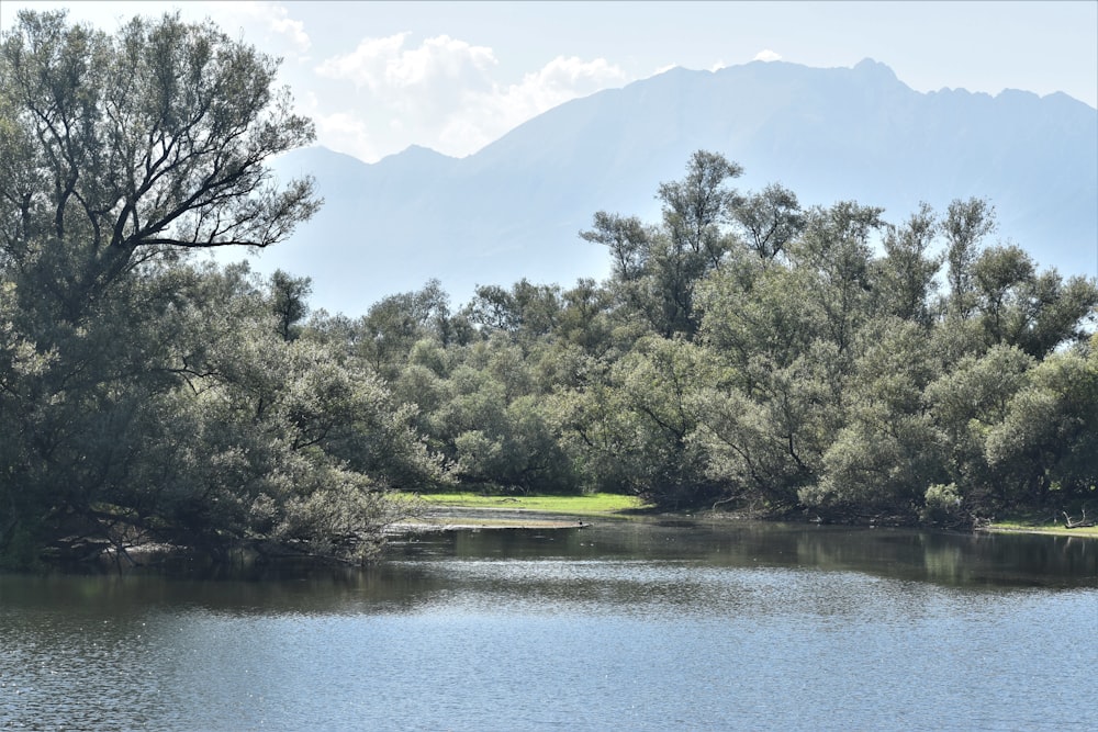 a body of water surrounded by trees and mountains