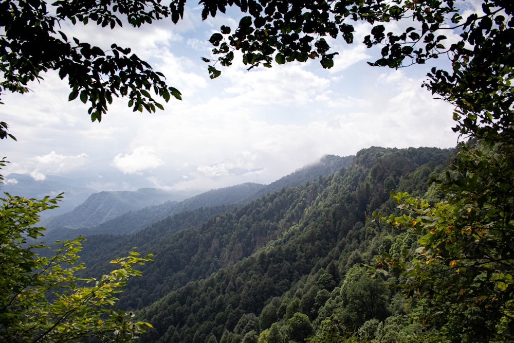 a view of the mountains from a distance