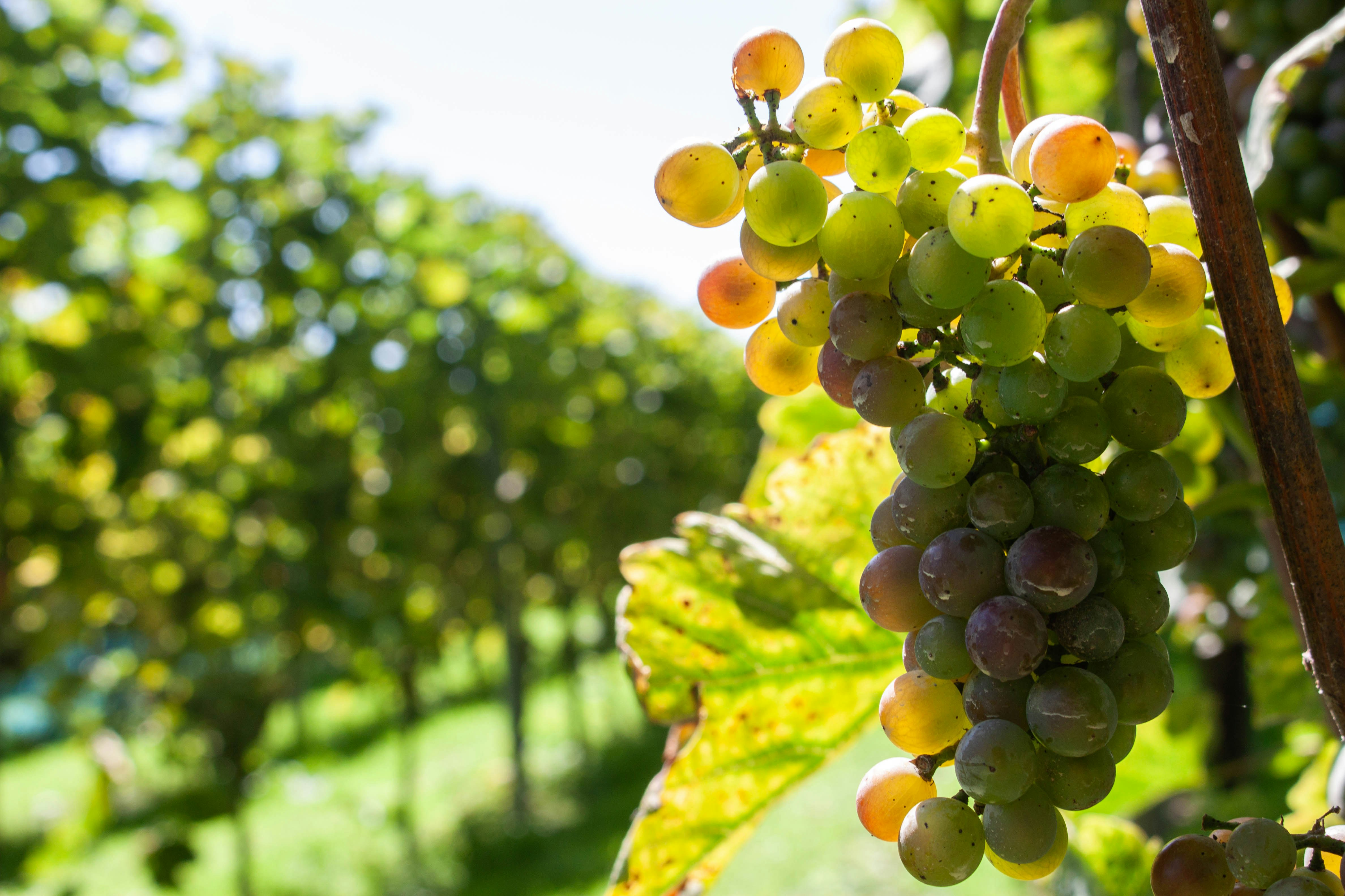 Photo by kamillaisalieva