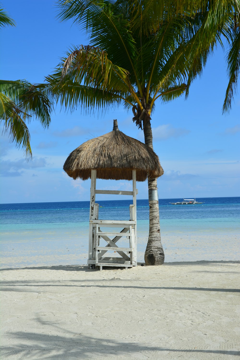 a chair under a palm tree on a beach