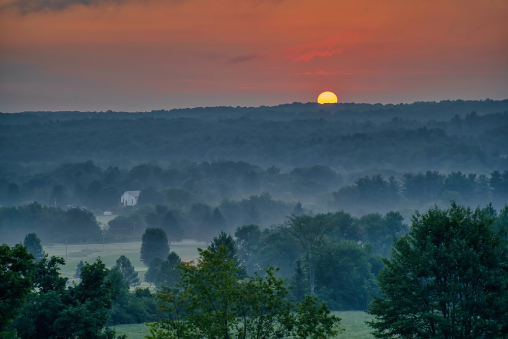 the sun is setting over the trees in the distance