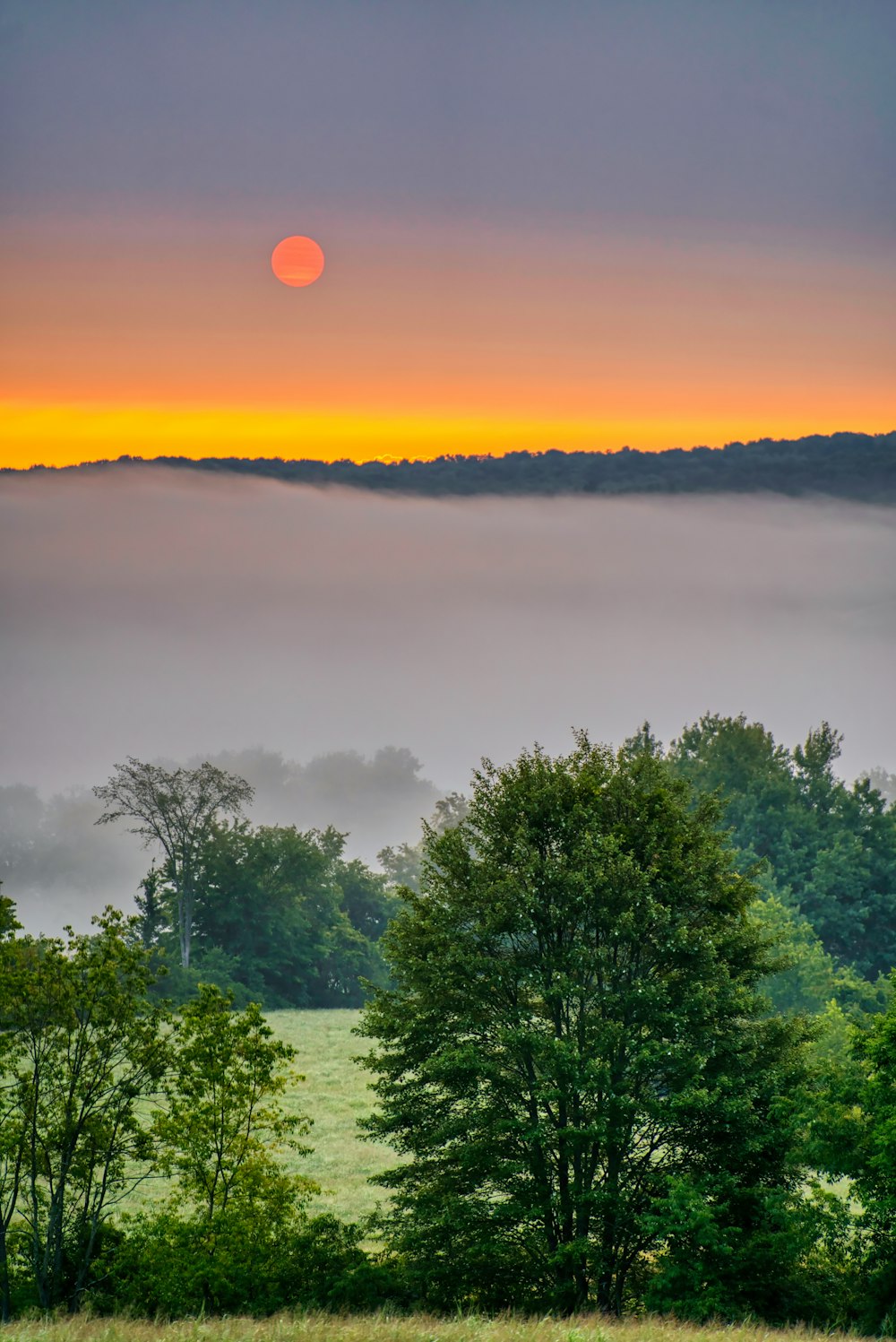 the sun is setting over a field with trees