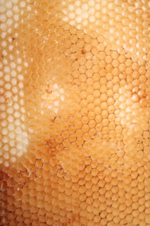 A close-up view of a honeycomb with hexagonal cells filled with honey or wax. The structure is intricate and symmetrical, with varying shades of golden yellow and hints of brown.