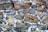 A textured wall made from variously sized and shaped natural stones held together with visible mortar. The stones exhibit diverse earth tones including brown, gray, and beige, and some stones have a distinct rough surface. The mortar shows slight discoloration, with hints of white and red mixed in.