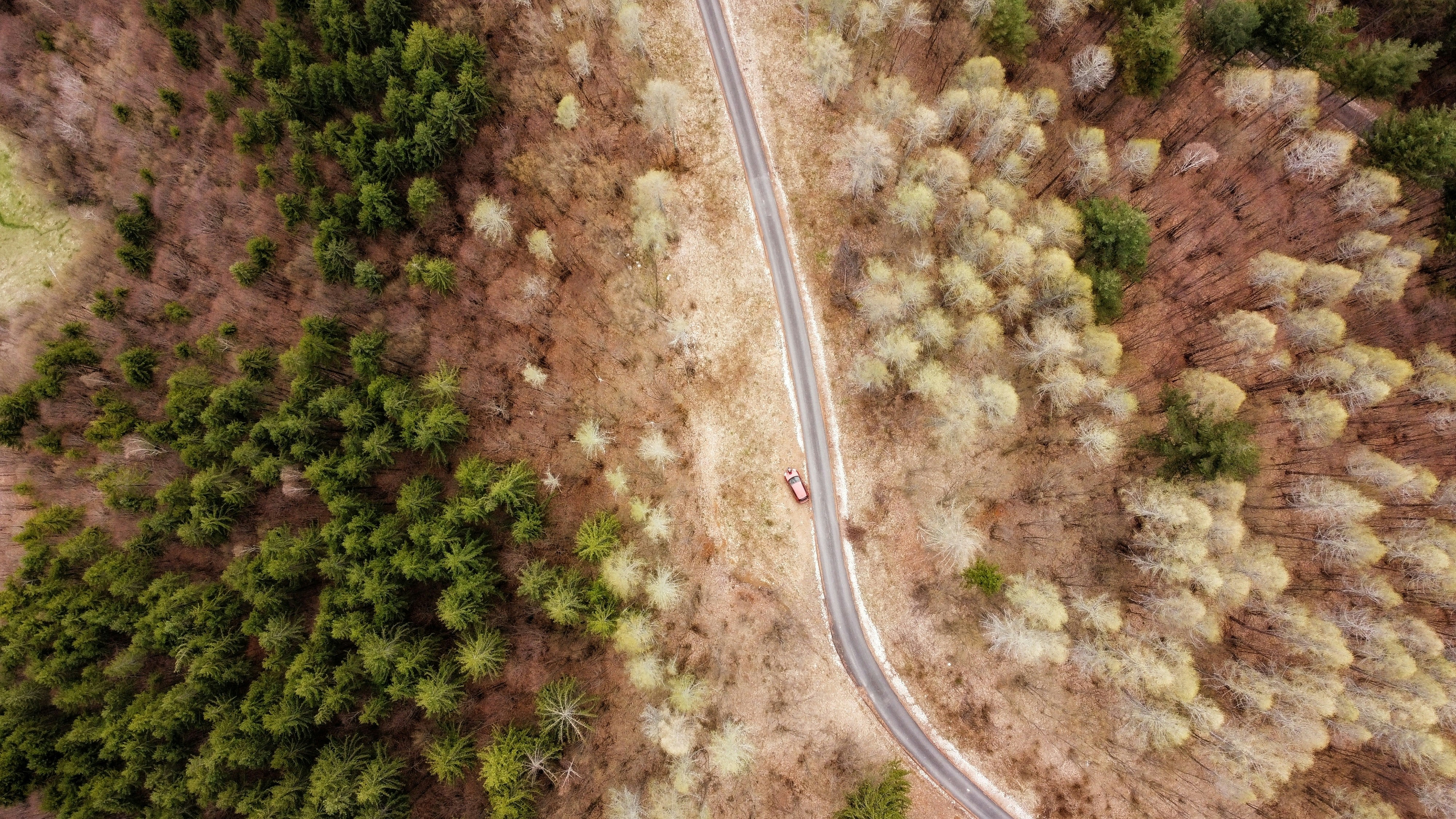 Photo by razvan_trif