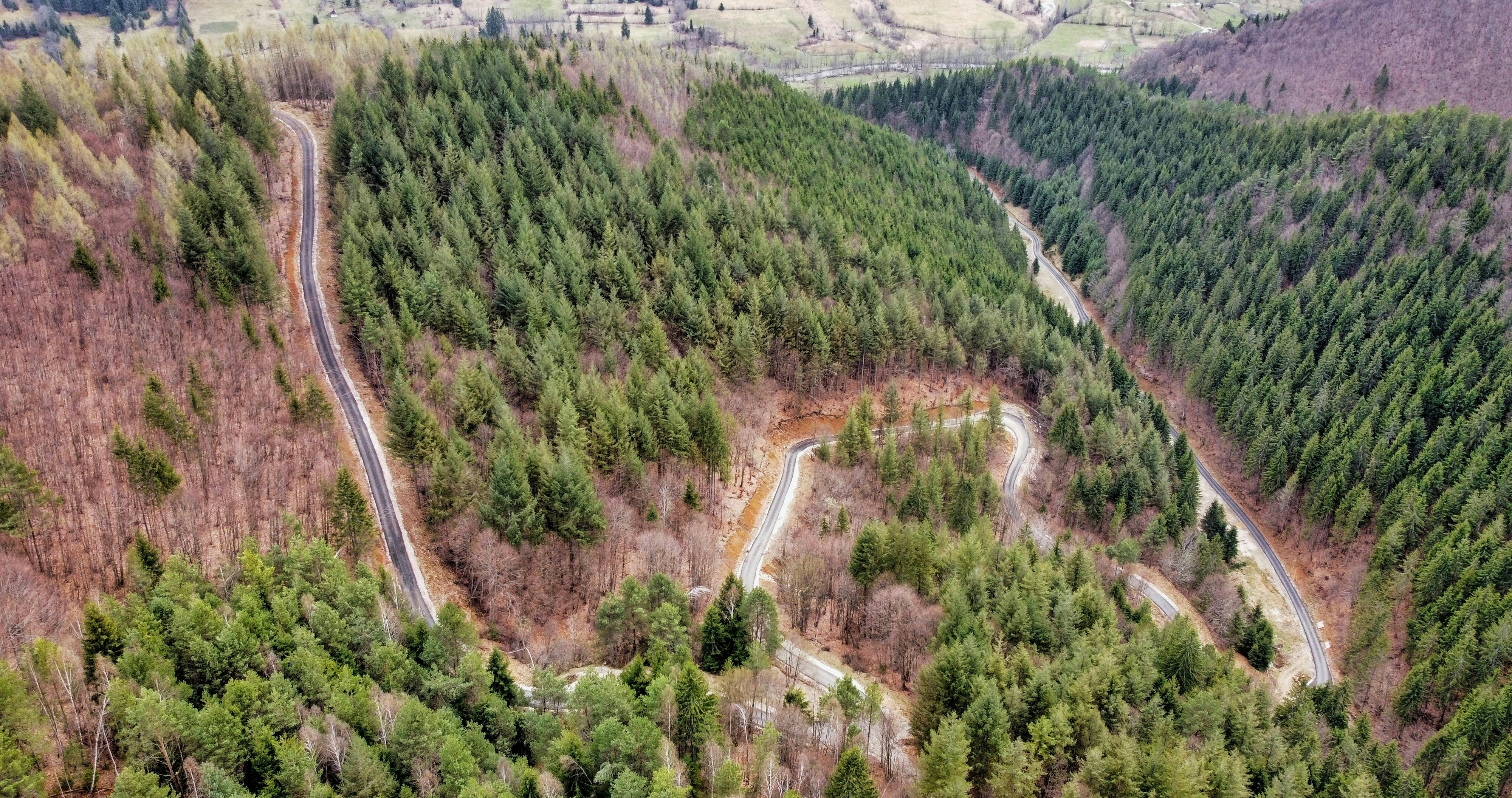 Photo by razvan_trif