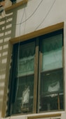 A double-pane window with a brown frame is installed in a light-colored wall. The panes are slightly dirty and show reflections and diagonal patterns. Behind the window, white fabric drapes hang in folds. An electrical wire runs across the top corner of the wall, casting a shadow.
