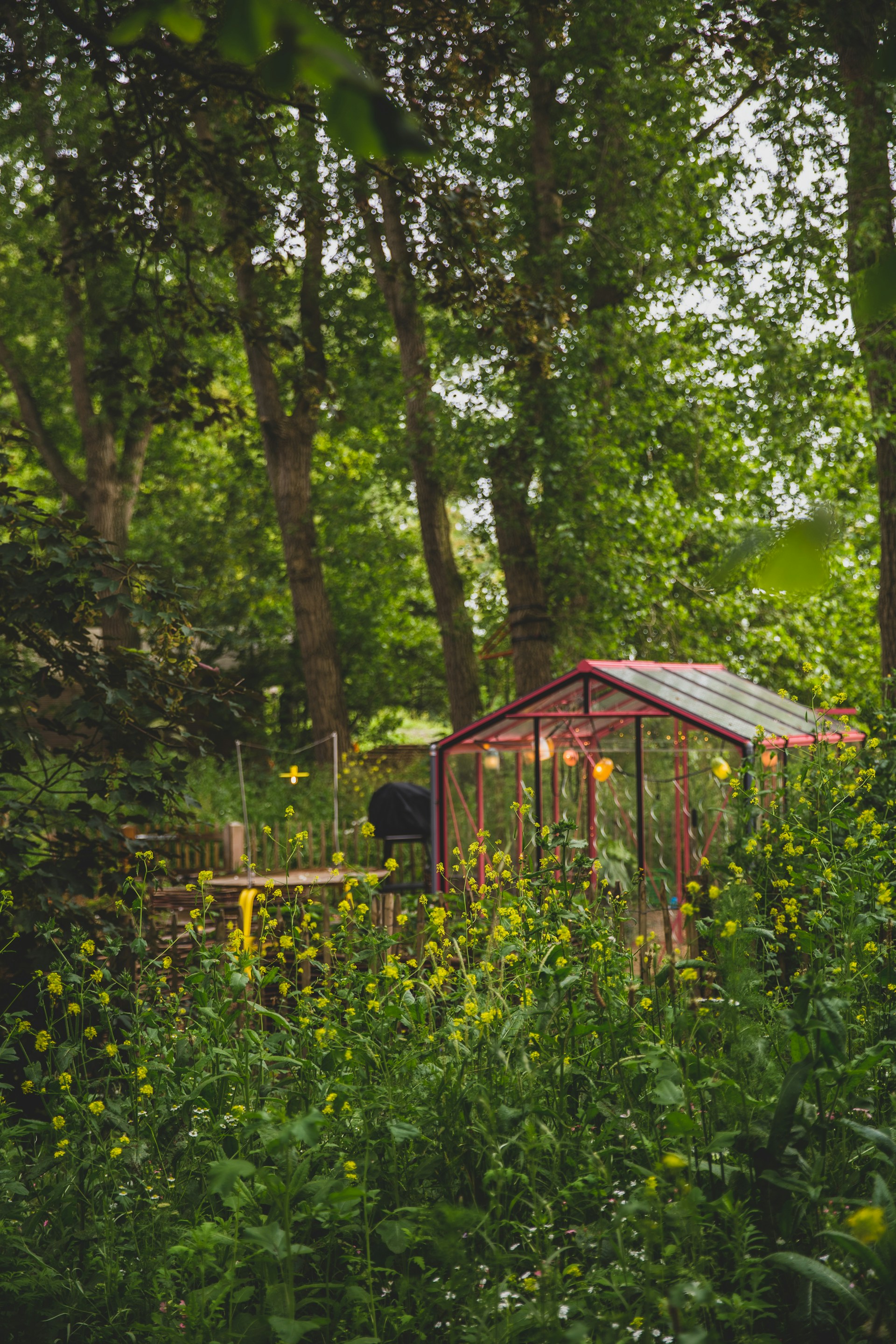 a small greenhouse in the middle of a forest