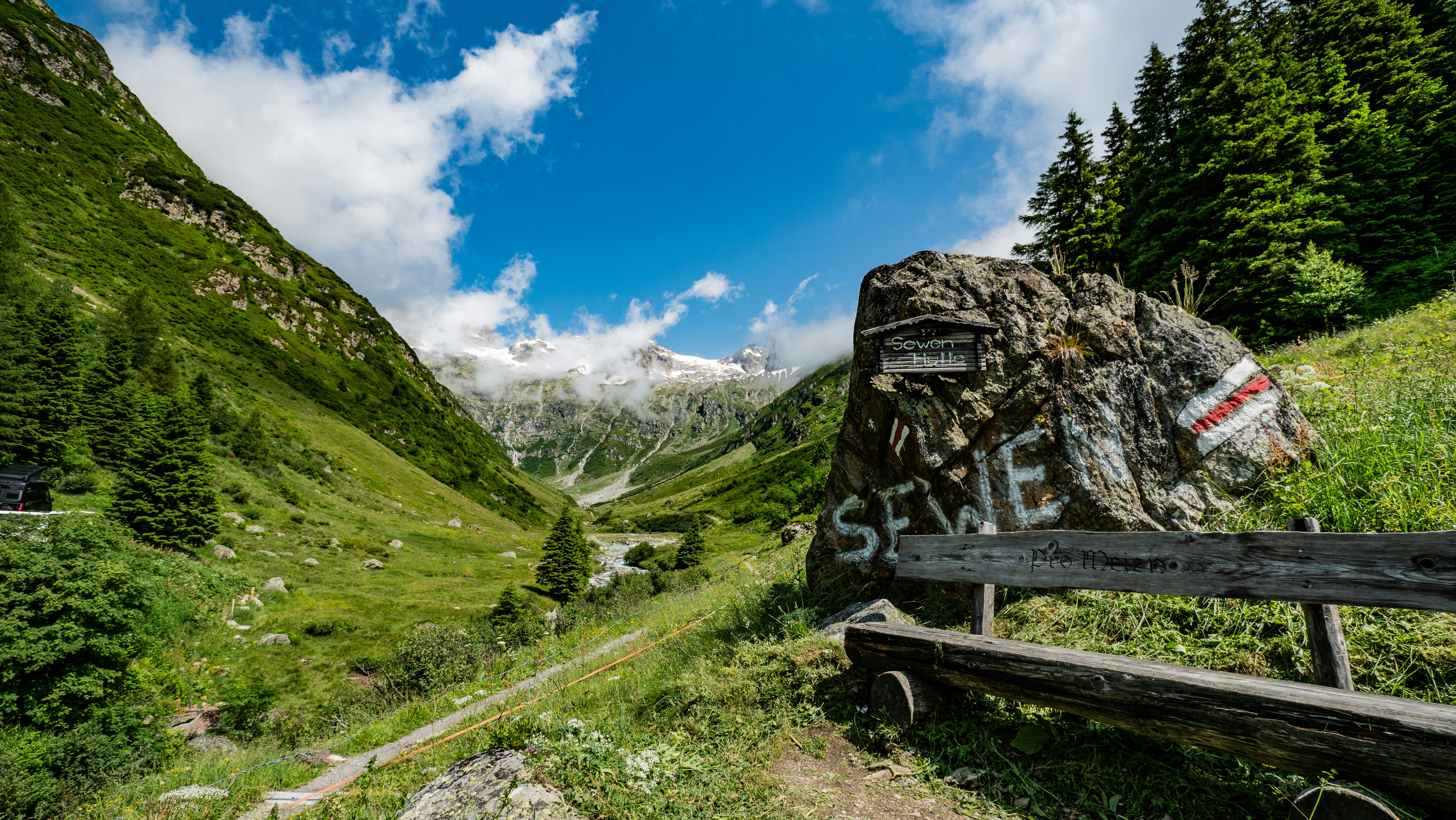 a wooden bench sitting on top of a lush green hillside