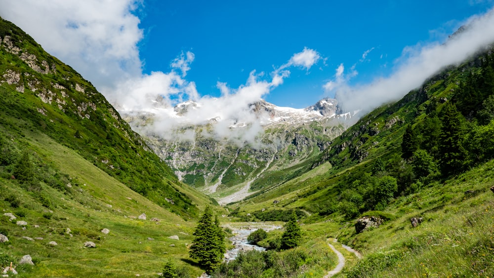 a scenic view of a valley with mountains in the background