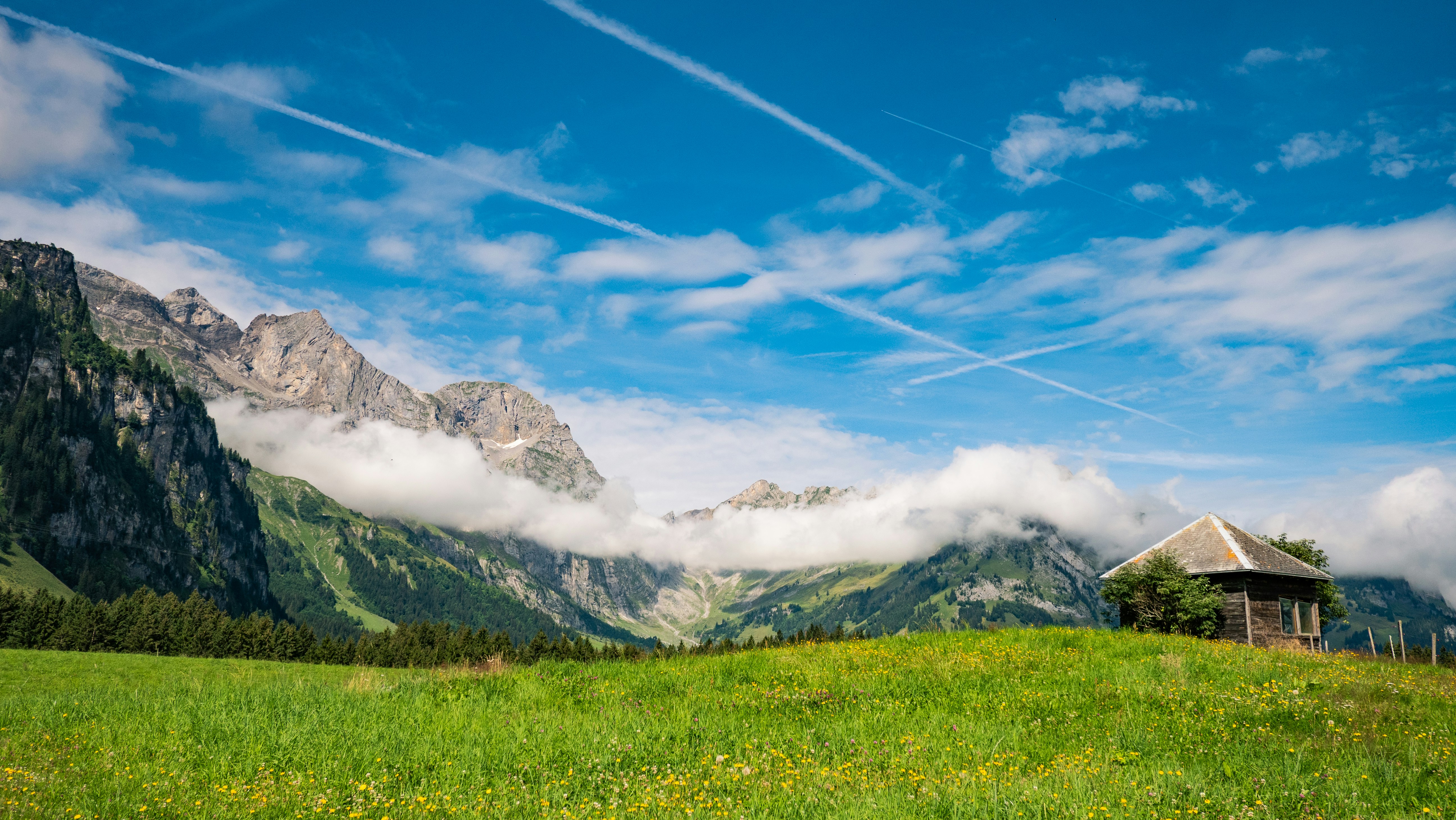 Photo by poli_graphy