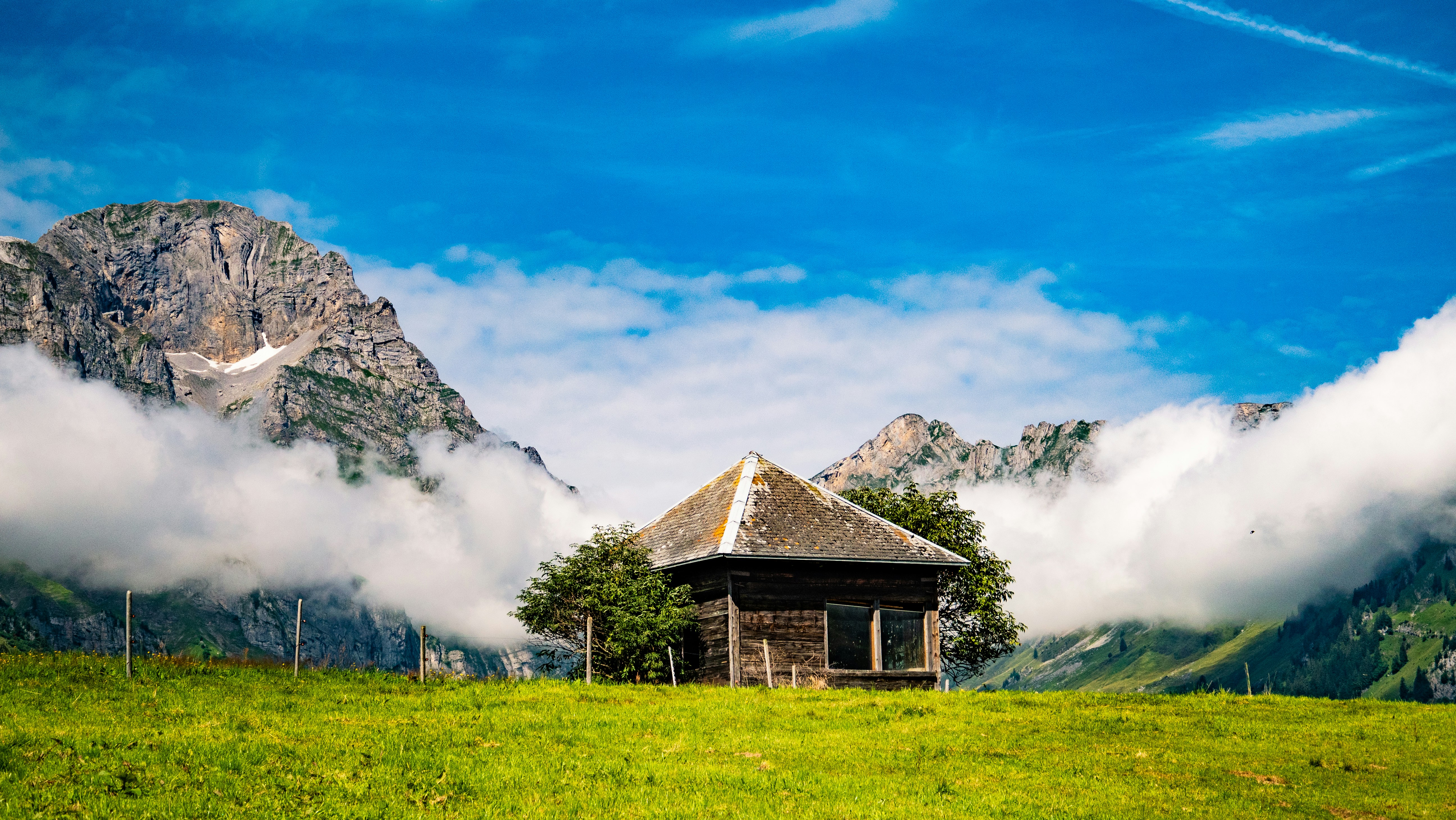 Photo by poli_graphy