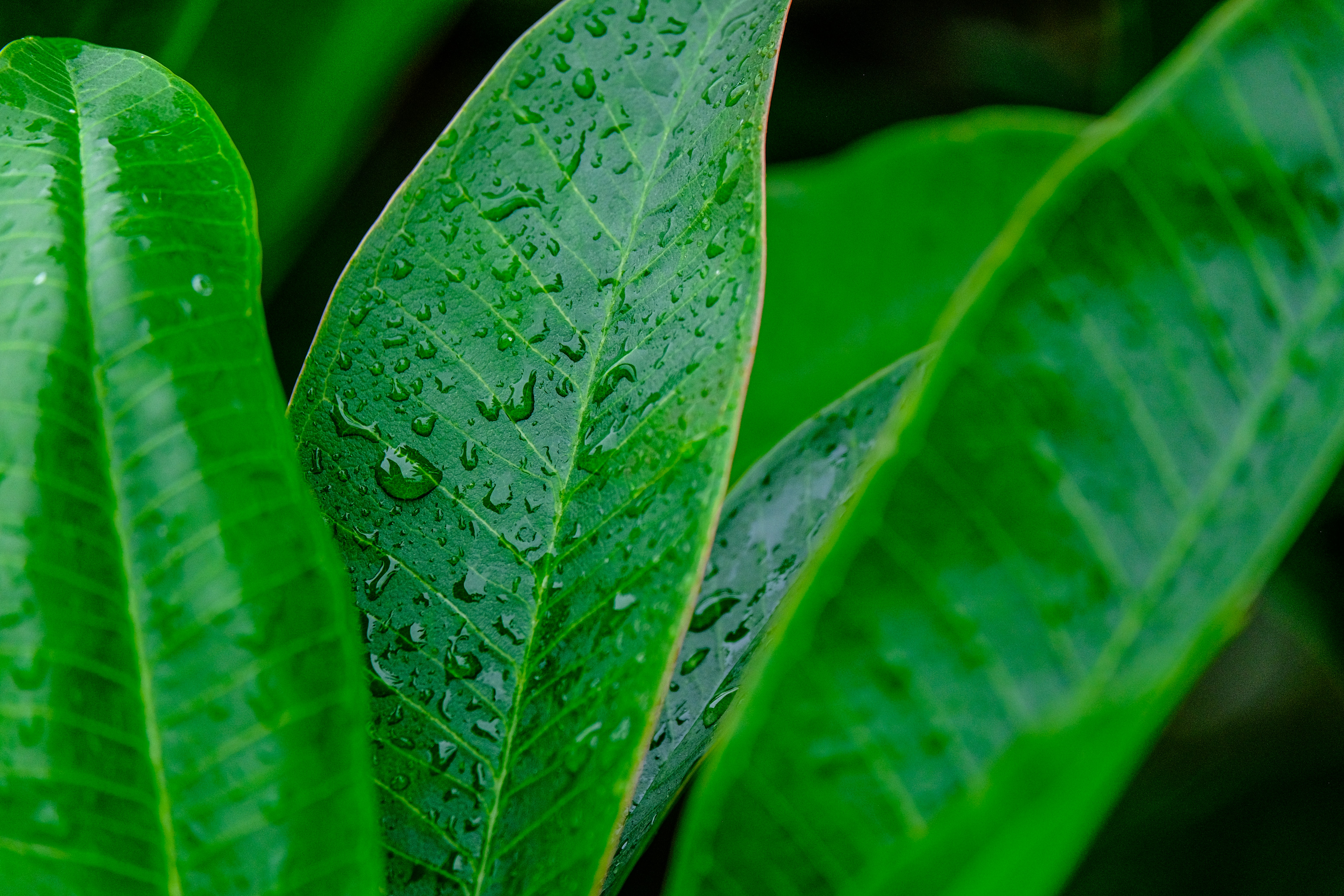 Photo by cestmoisheedy