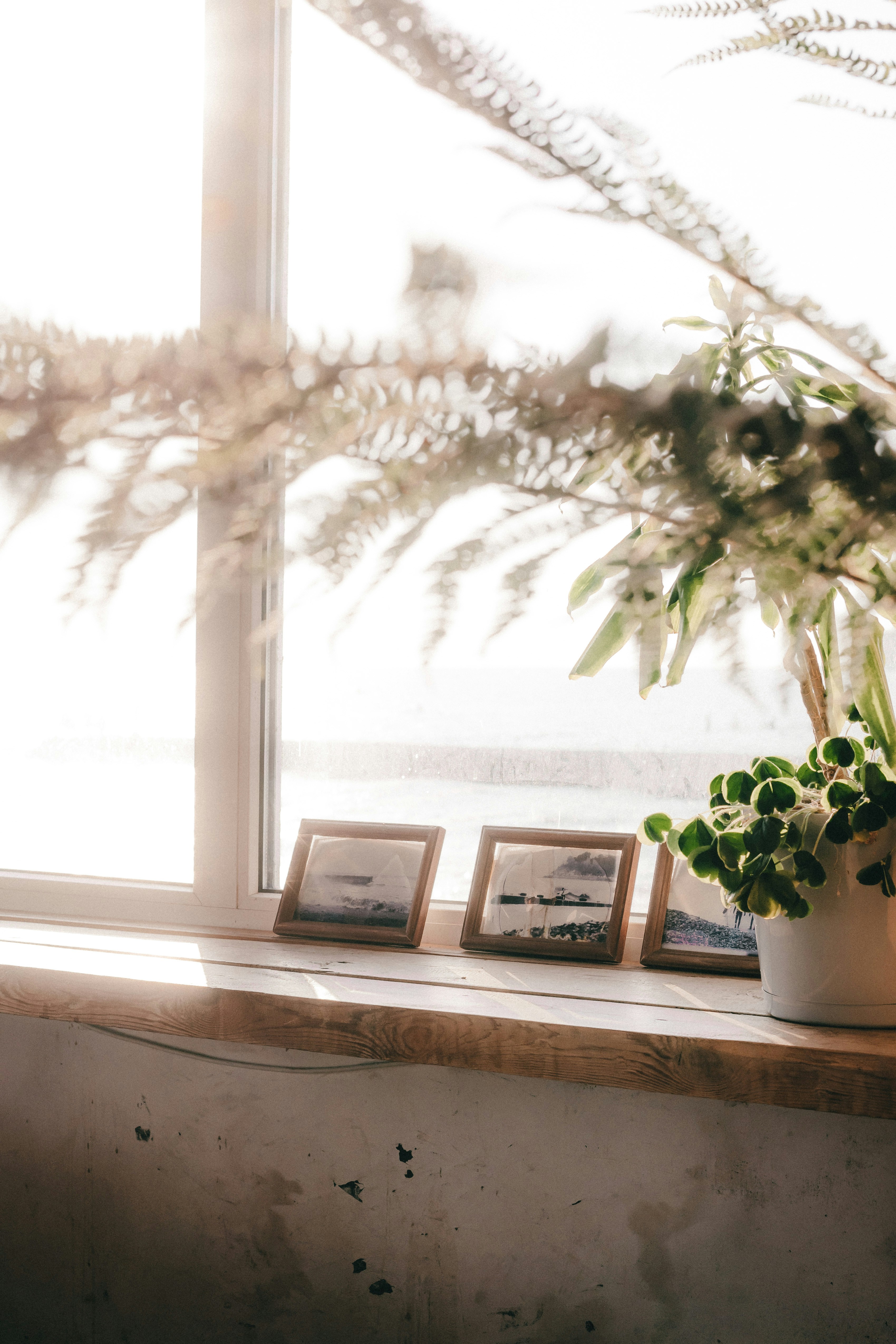 Photo by volkova_2897