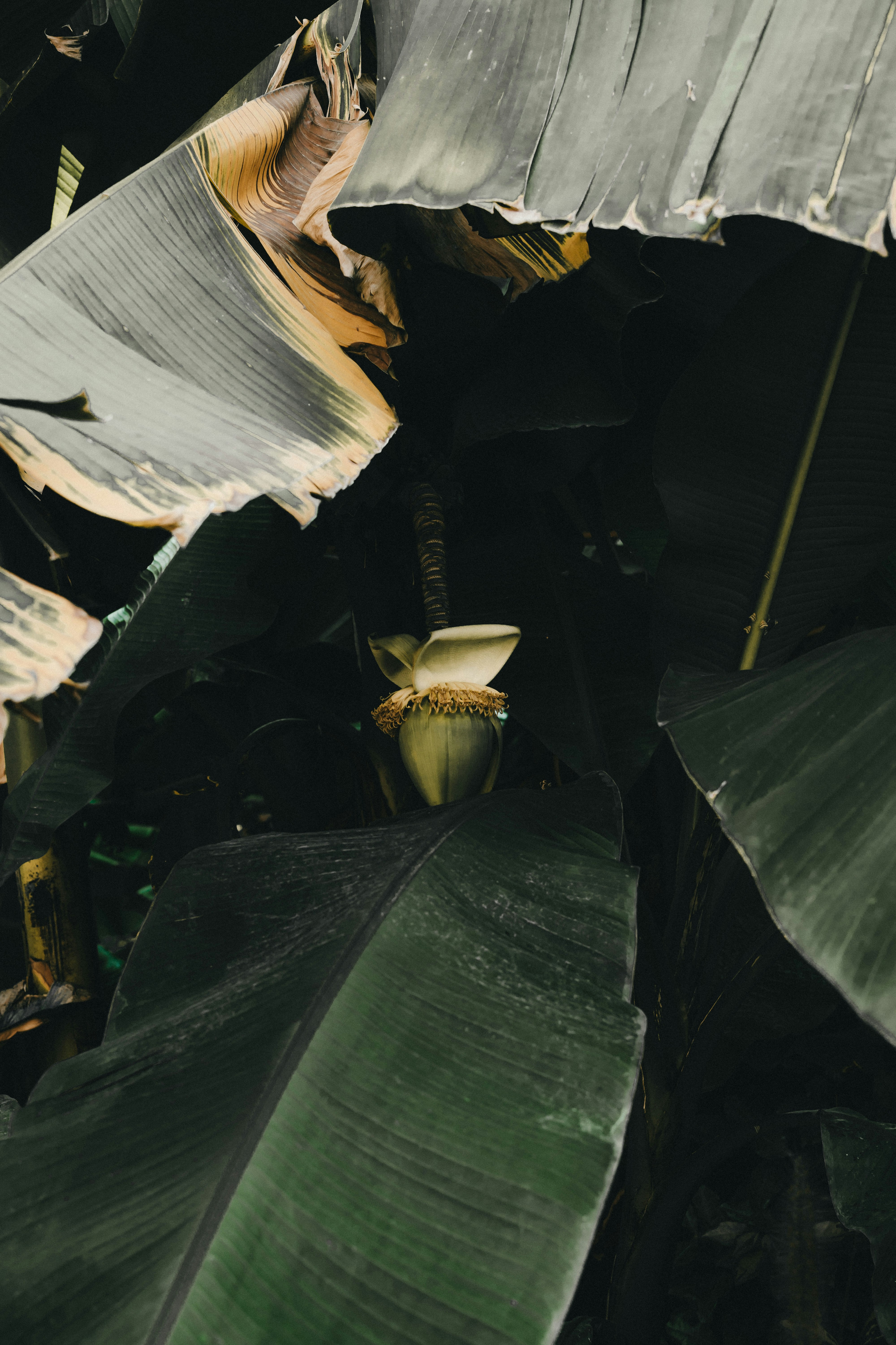 Photo by volkova_2897