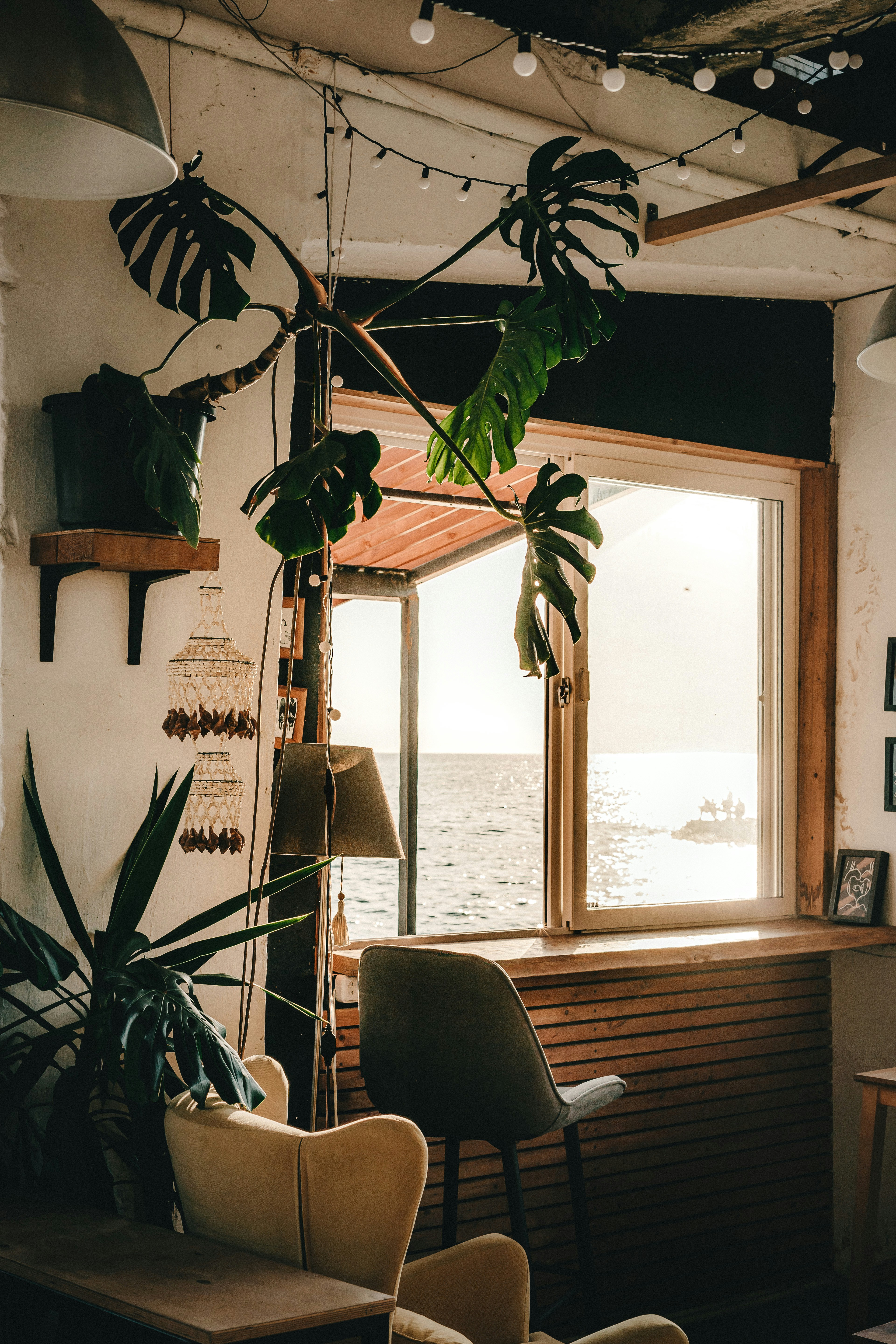 Photo by volkova_2897