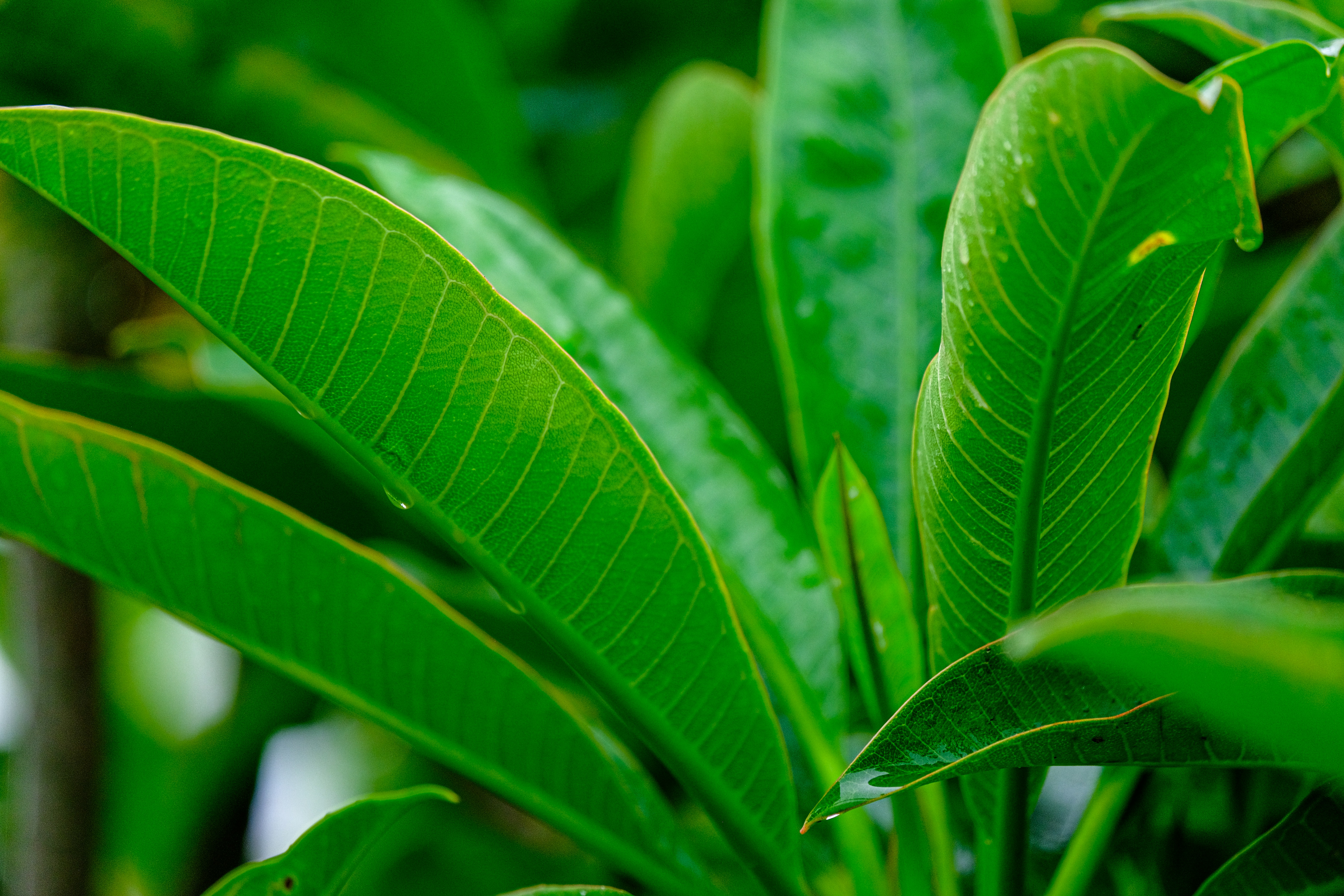 Photo by cestmoisheedy