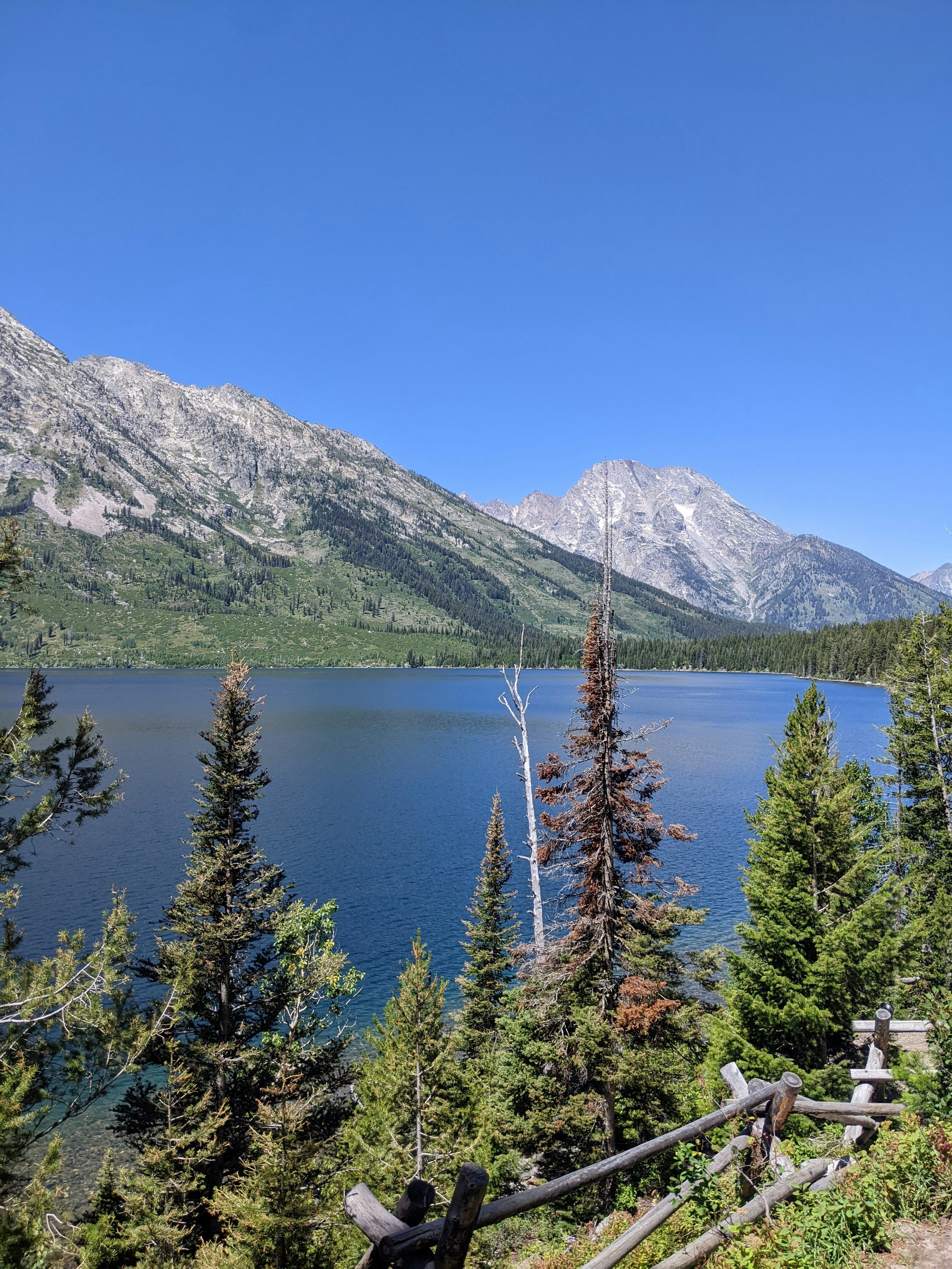 Photo by pvanderveen