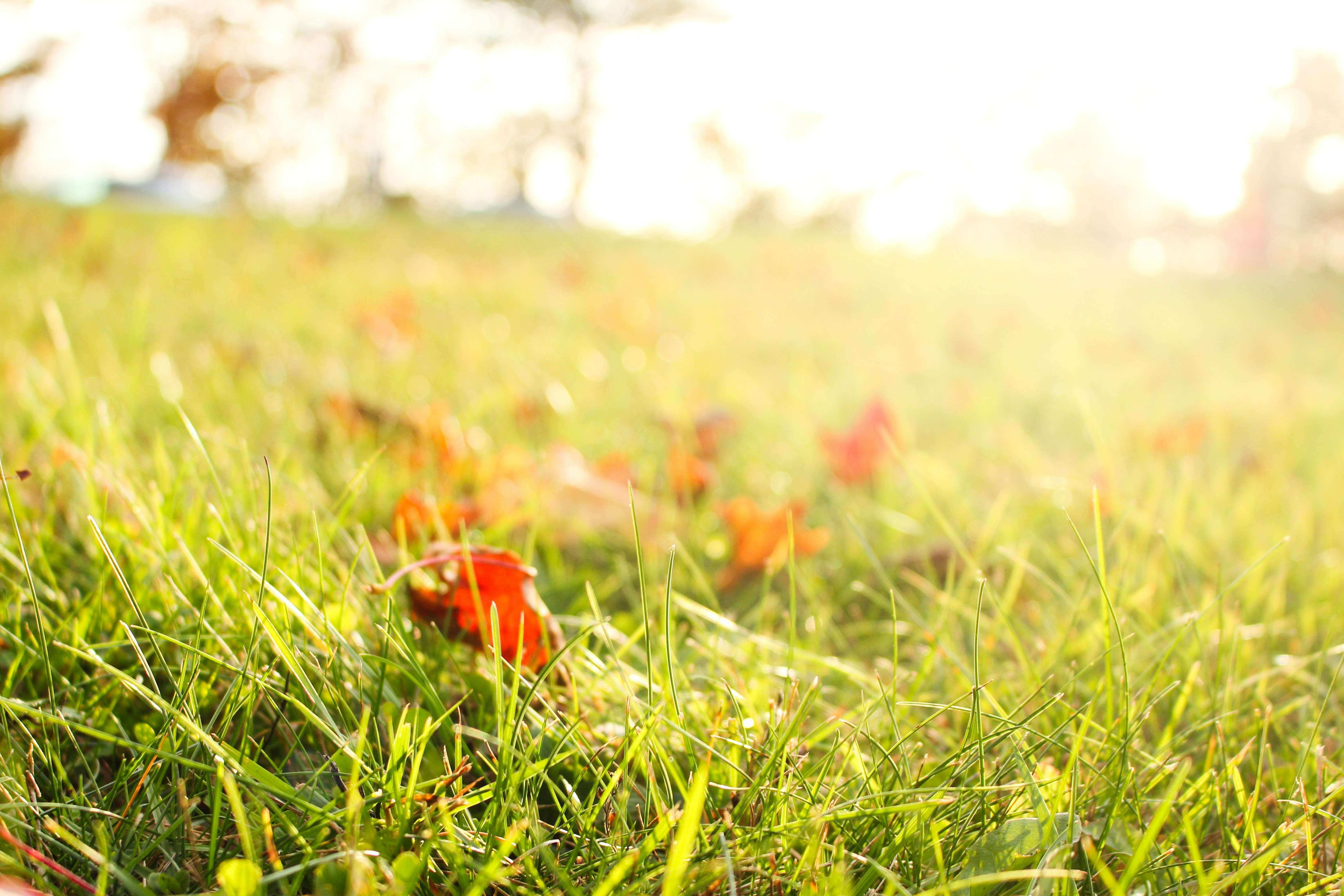 Photo by elijahaustin