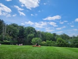 Guests enjoying a scenic outdoor activity surrounded by lush greenery.
