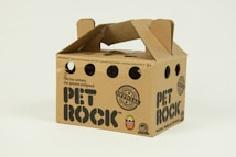 A cardboard carrier box with cut-out holes and printed text. The words 'PET ROCK' are prominently featured, along with several badges and stamps indicating official and pedigree status. The design is playful and reminiscent of a pet carrier.