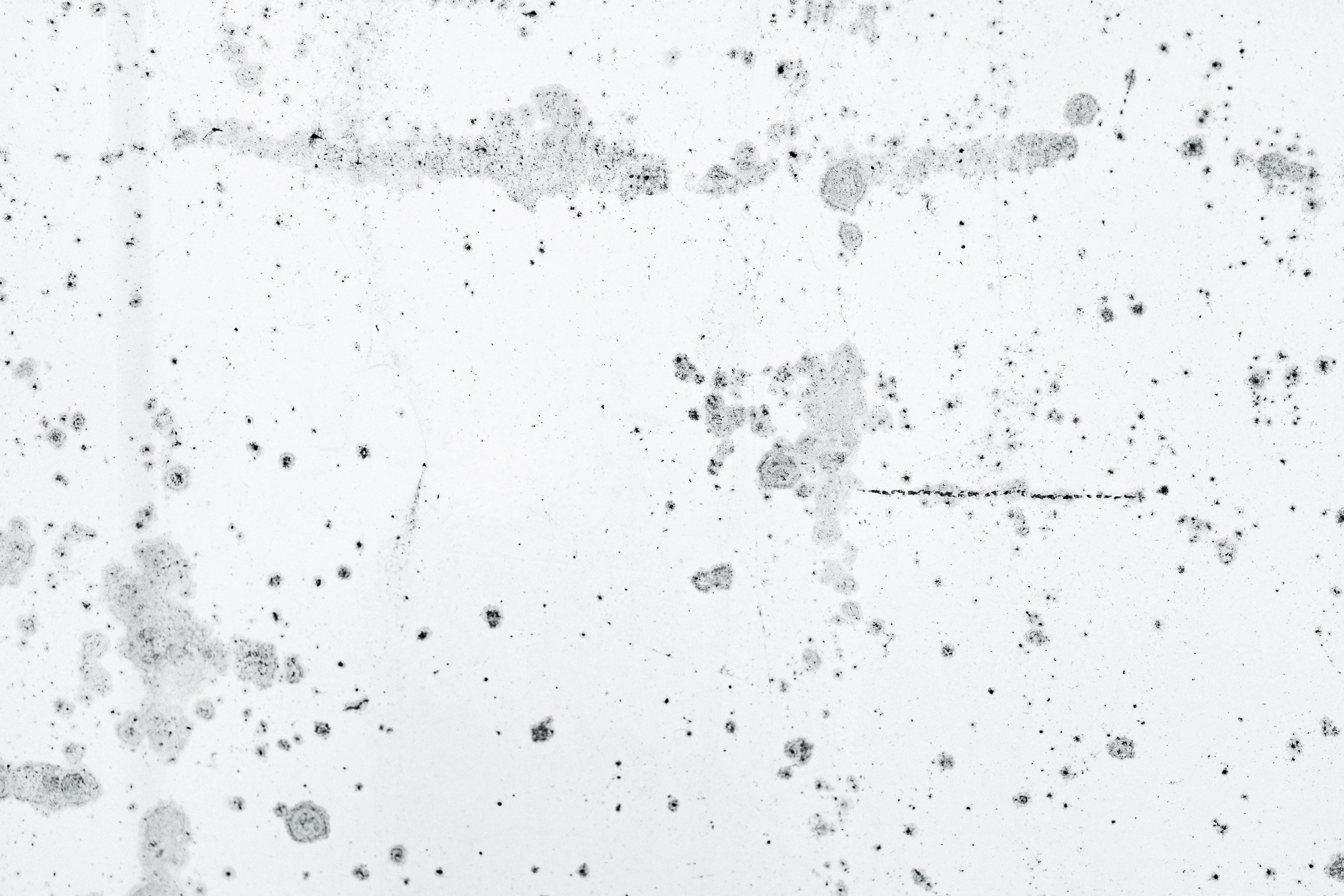 Photo by thepaintedsquarejessica