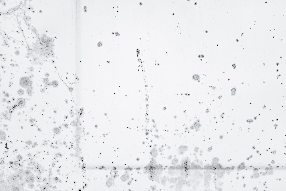 a black and white photo of water droplets