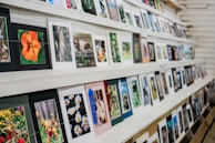 A collection of beautifully framed photographs displayed in a gallery.